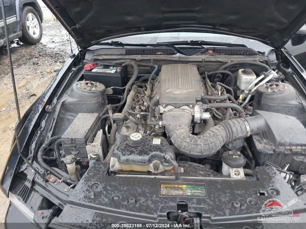 1ZVHT82H775198713 2007 FORD MUSTANG photo no. 10