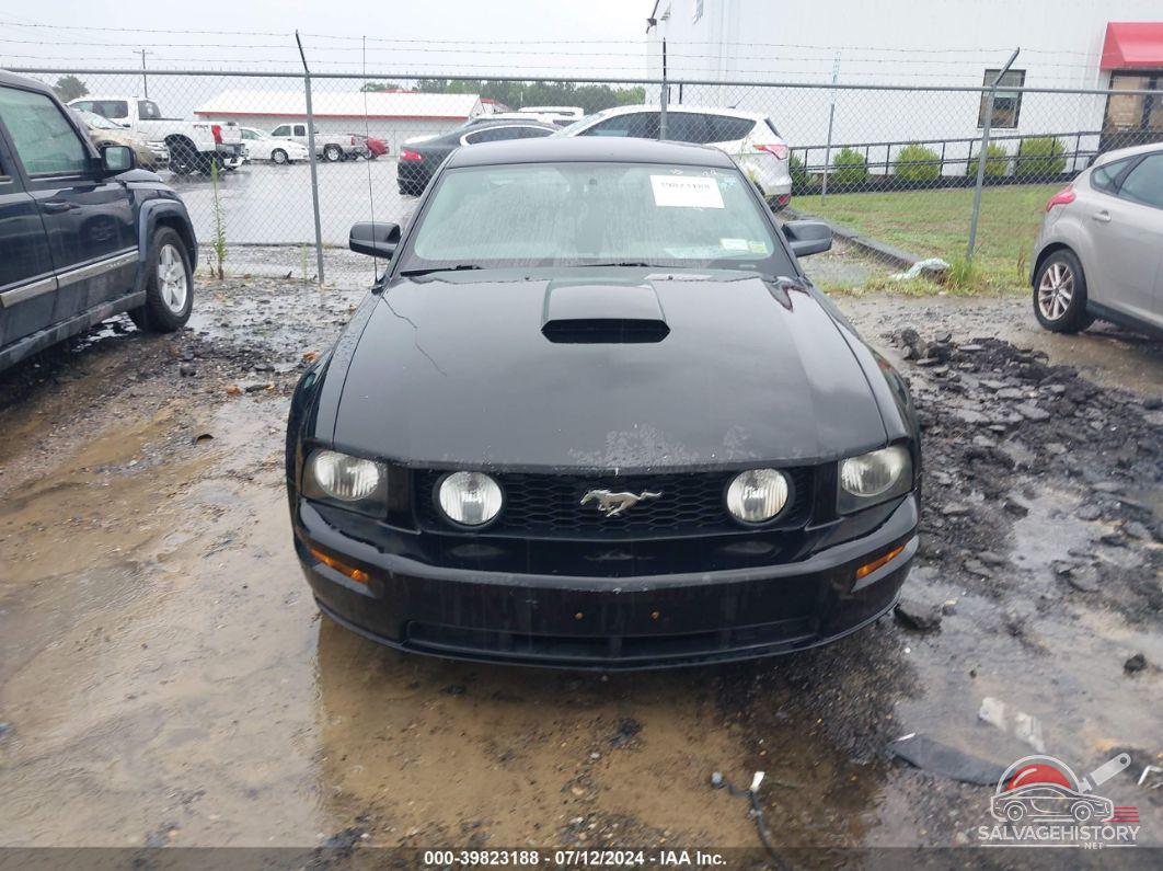 1ZVHT82H775198713 2007 FORD MUSTANG photo no. 6