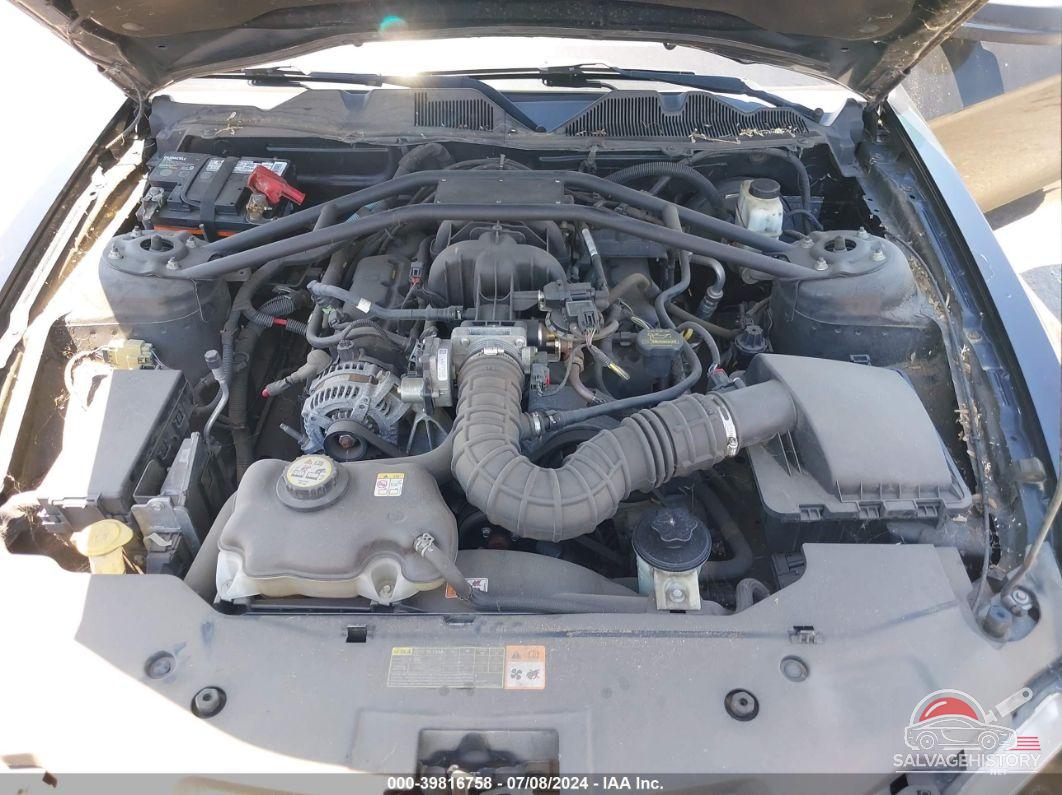 1ZVBP8AN5A5136011 2010 FORD MUSTANG photo no. 10