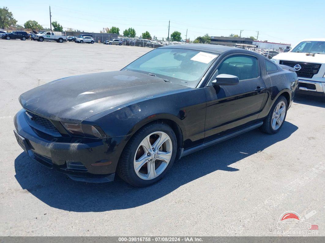 1ZVBP8AN5A5136011 2010 FORD MUSTANG photo no. 2