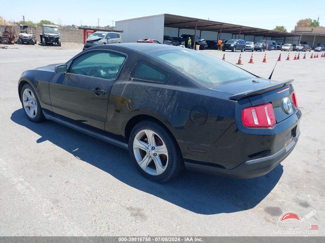 1ZVBP8AN5A5136011 2010 FORD MUSTANG photo no. 3