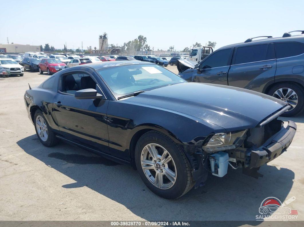 1ZVBP8AM1E5327549 2014 FORD MUSTANG photo no. 8