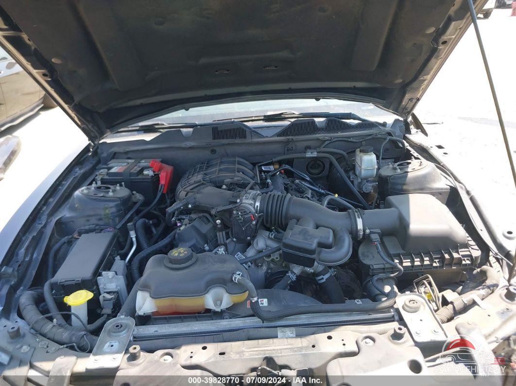 1ZVBP8AM1E5327549 2014 FORD MUSTANG photo no. 10