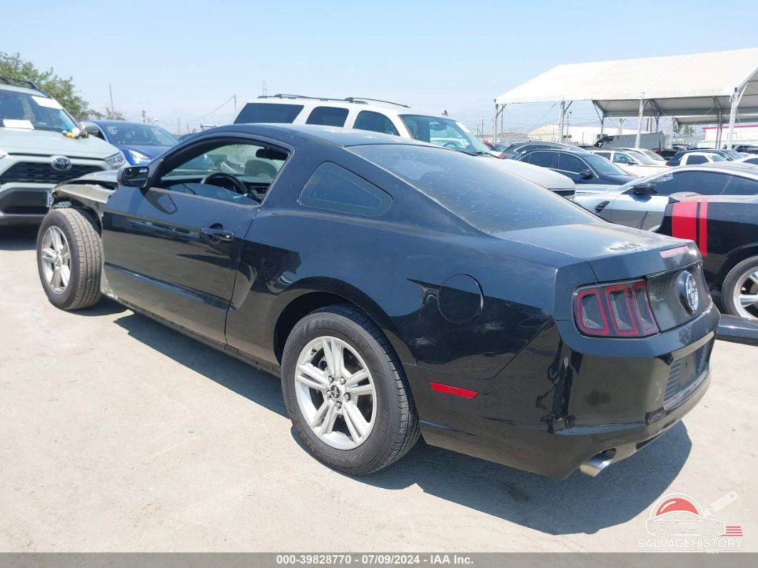 1ZVBP8AM1E5327549 2014 FORD MUSTANG photo no. 3