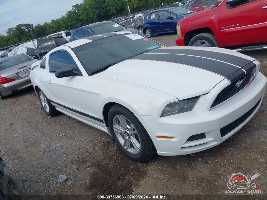 1ZVBP8AM2E5262291 2014 FORD MUSTANG photo no. 7
