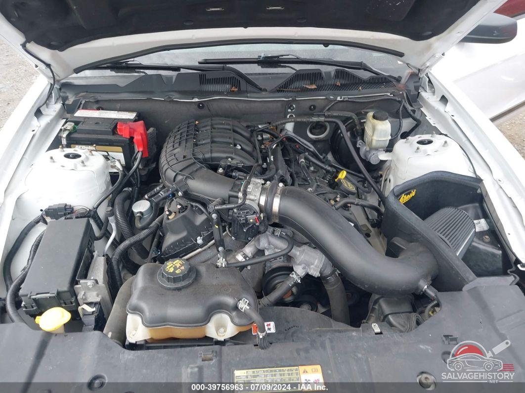 1ZVBP8AM2E5262291 2014 FORD MUSTANG photo no. 10