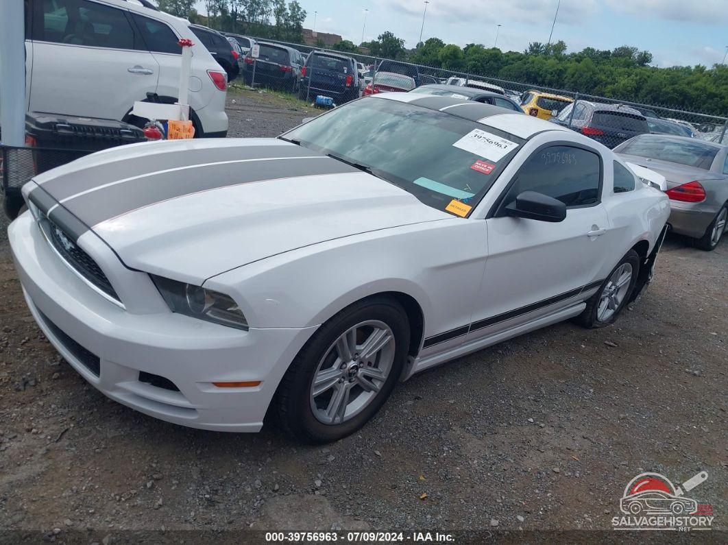 1ZVBP8AM2E5262291 2014 FORD MUSTANG photo no. 2