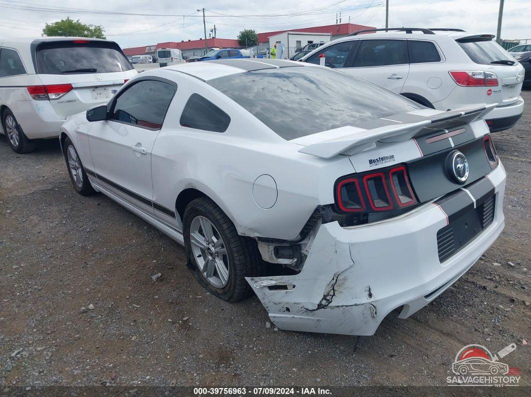 1ZVBP8AM2E5262291 2014 FORD MUSTANG photo no. 3