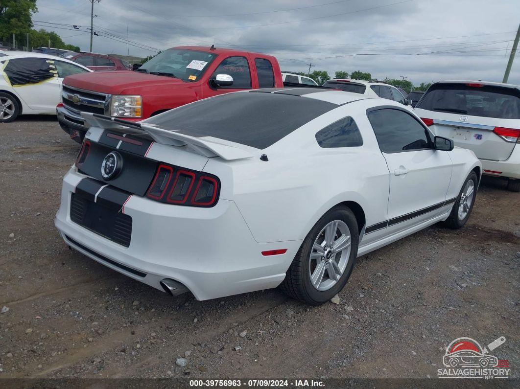 1ZVBP8AM2E5262291 2014 FORD MUSTANG photo no. 4