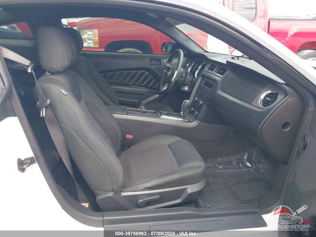 1ZVBP8AM2E5262291 2014 FORD MUSTANG photo no. 5