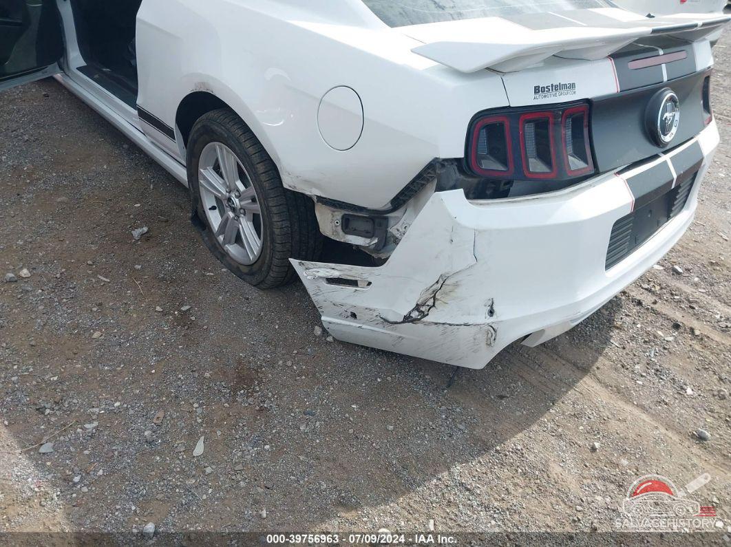1ZVBP8AM2E5262291 2014 FORD MUSTANG photo no. 6