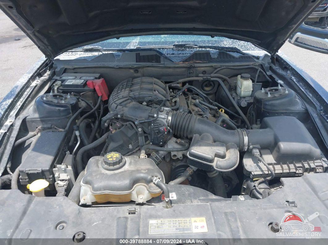 1ZVBP8AM7E5234311 2014 FORD MUSTANG photo no. 10