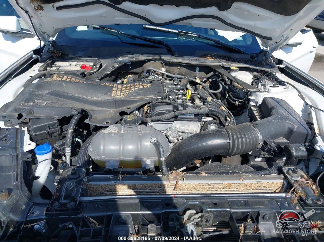 1FATP8UH4P5103237 2023 FORD MUSTANG photo no. 10