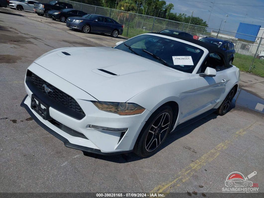 1FATP8UH4P5103237 2023 FORD MUSTANG photo no. 2