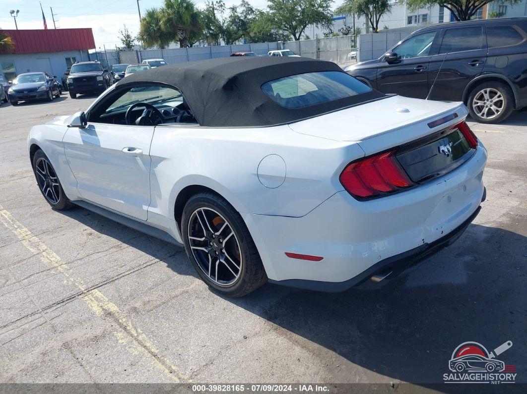 1FATP8UH4P5103237 2023 FORD MUSTANG photo no. 3
