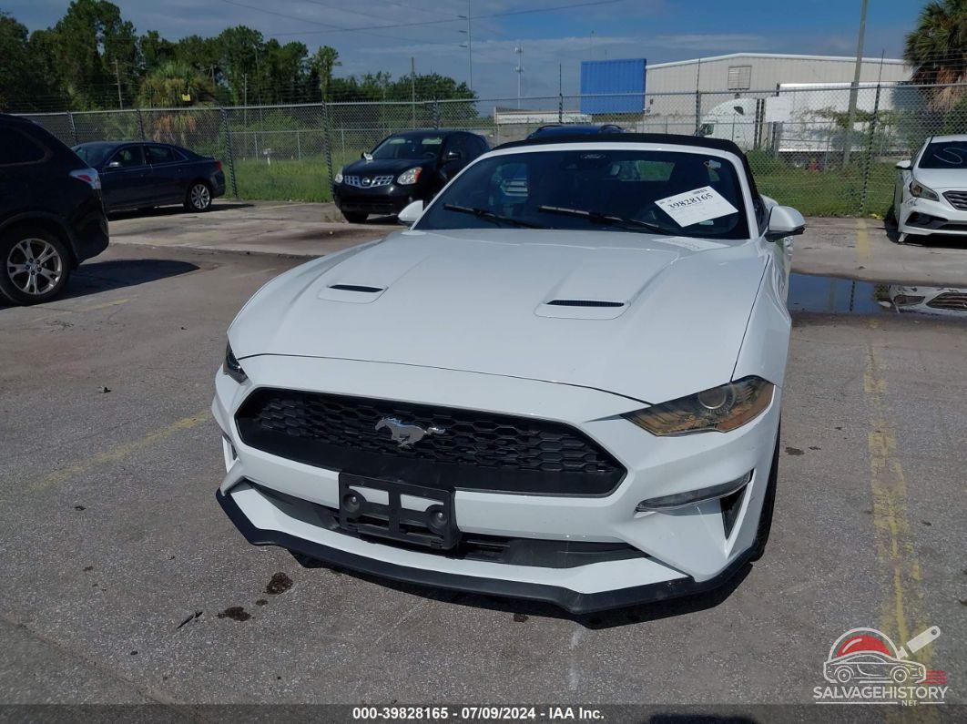 1FATP8UH4P5103237 2023 FORD MUSTANG photo no. 6