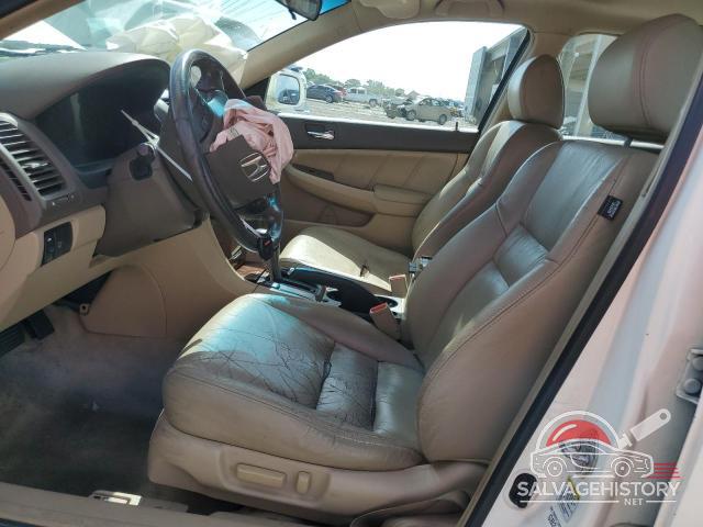 JHMCN36446C003676 2006 HONDA ACCORD photo no. 7