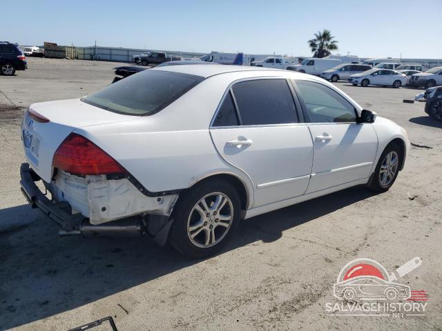 JHMCM56307C010633 2007 HONDA ACCORD photo no. 3