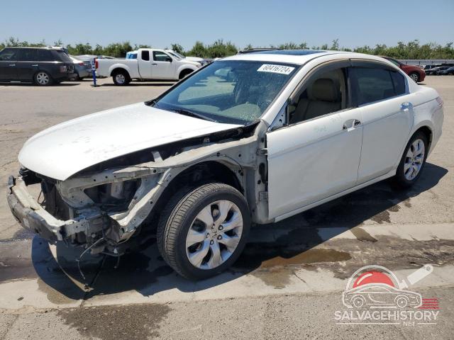 1HGCP36828A031426 2008 HONDA ACCORD photo no. 19