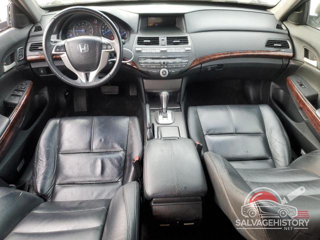 5J6TF2H58AL017095 2010 HONDA ACCORD photo no. 8