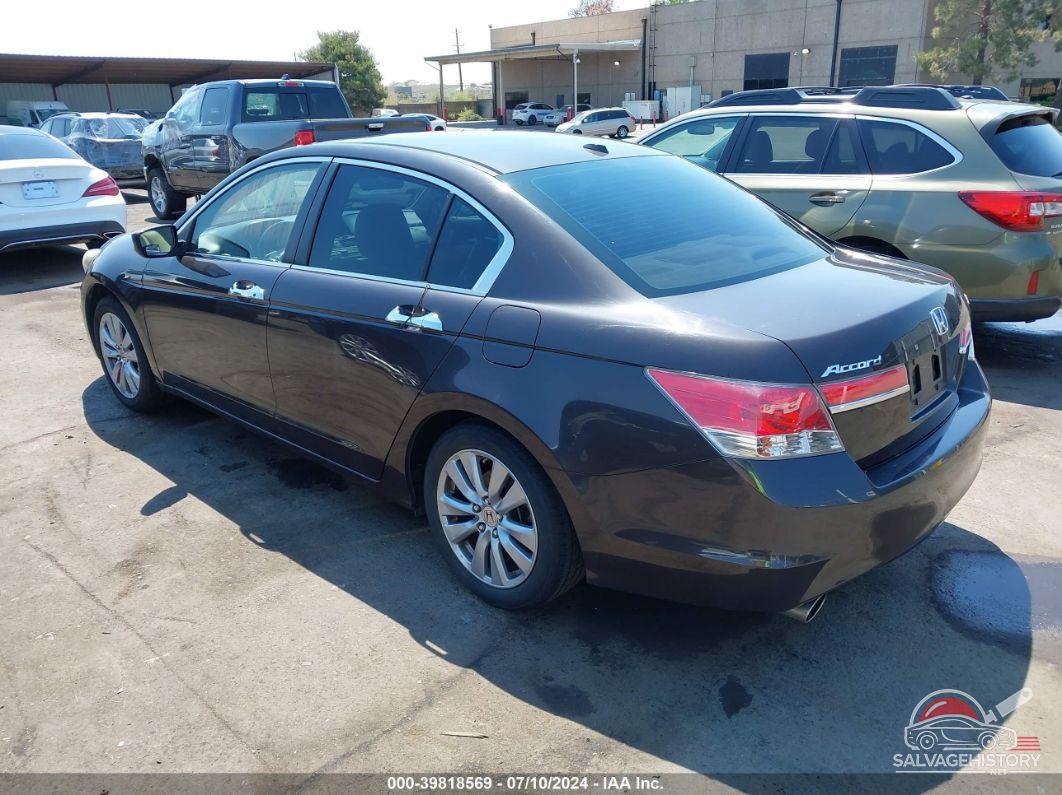 1HGCP3F80BA003857 2011 HONDA ACCORD photo no. 3
