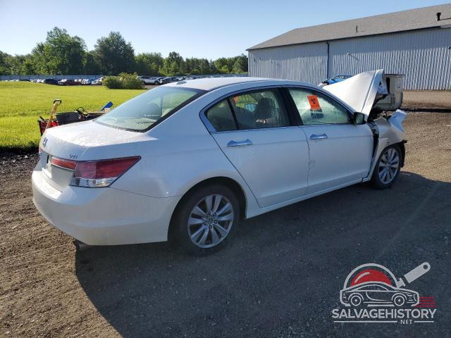 5KBCP3F80BB003719 2011 HONDA ACCORD photo no. 3