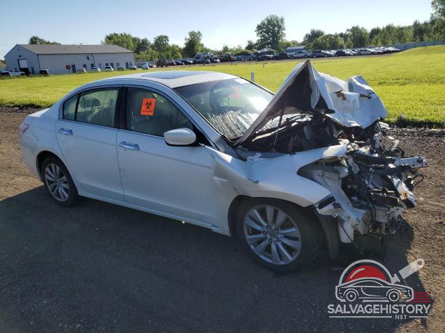 5KBCP3F80BB003719 2011 HONDA ACCORD photo no. 4