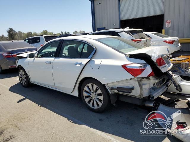 1HGCR3F80DA020445 2013 HONDA ACCORD photo no. 2