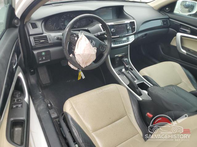 1HGCT1B84DA021710 2013 HONDA ACCORD photo no. 8