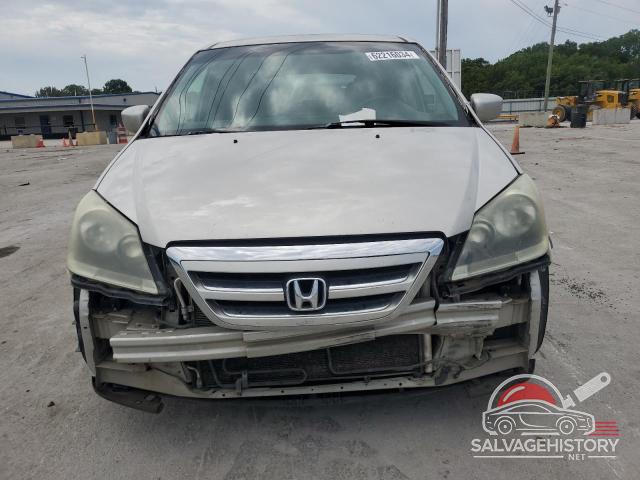 5FNRL38447B049365 2007 HONDA All Models photo no. 5