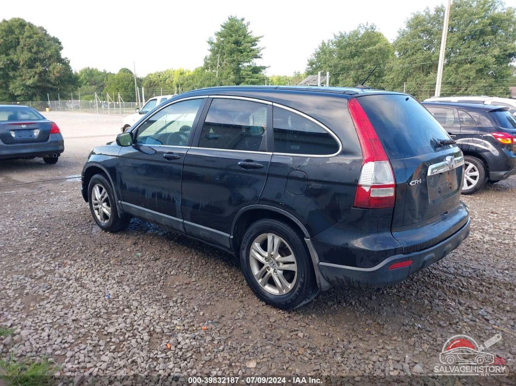 5J6RE48757L006008 2007 HONDA CR-V photo no. 3
