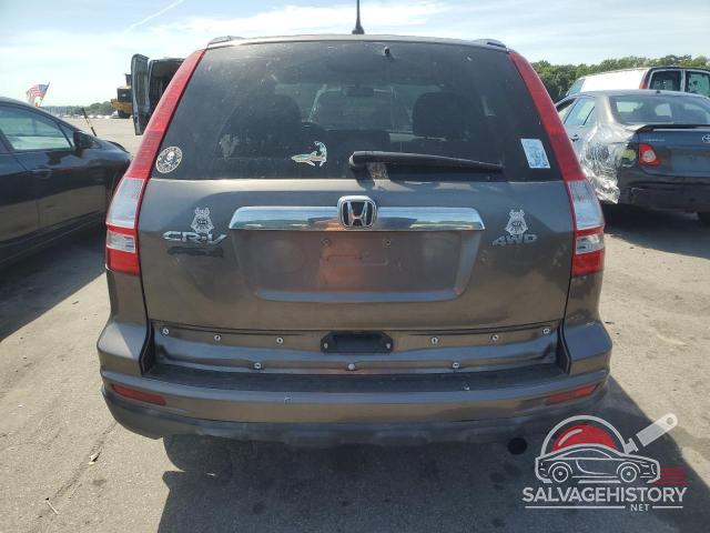 5J6RE4H58AL002346 2010 HONDA CRV photo no. 6