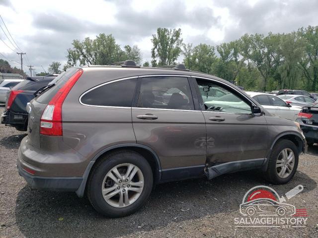 5J6RE4H7XAL016573 2010 HONDA CRV photo no. 3