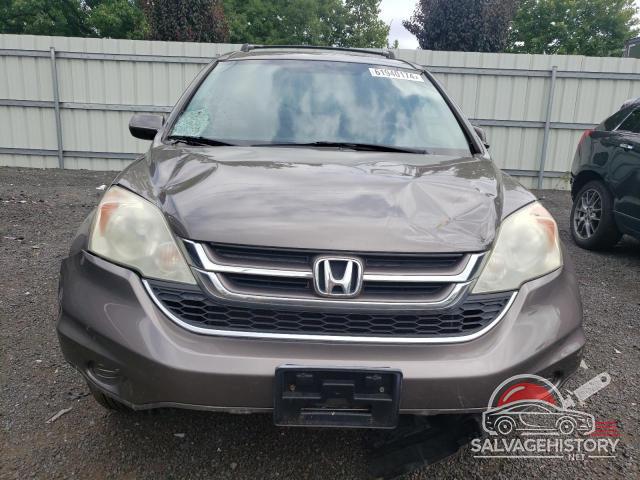 5J6RE4H7XAL016573 2010 HONDA CRV photo no. 5