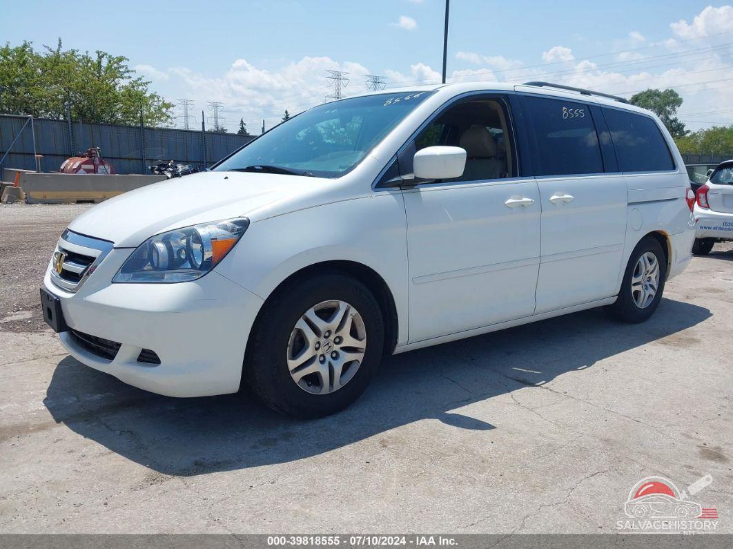 5FNRL38717B454397 2007 HONDA ODYSSEY photo no. 2