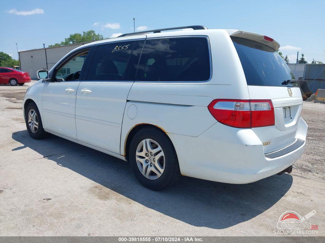 5FNRL38717B454397 2007 HONDA ODYSSEY photo no. 3