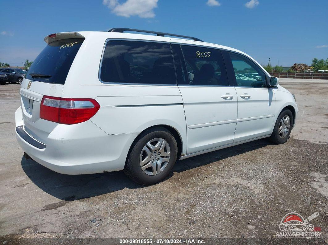 5FNRL38717B454397 2007 HONDA ODYSSEY photo no. 4