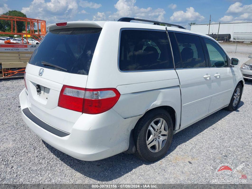5FNRL38747B402696 2007 HONDA ODYSSEY photo no. 4