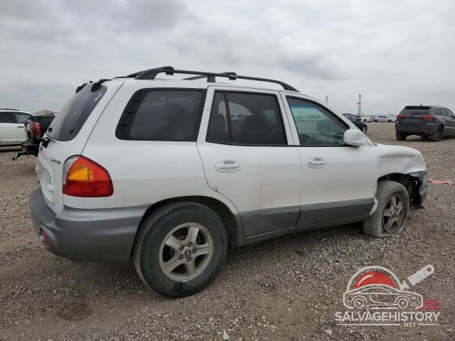KM8SB12B14U635665 2004 HYUNDAI SANTA FE photo no. 3