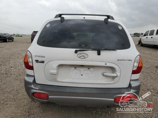 KM8SB12B14U635665 2004 HYUNDAI SANTA FE photo no. 6
