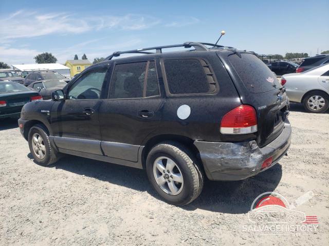 KM8SC13D25U928196 2005 HYUNDAI SANTA FE photo no. 2