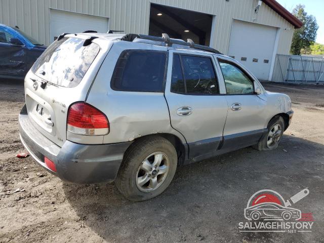 KM8SC73D85U996585 2005 HYUNDAI SANTA FE photo no. 3