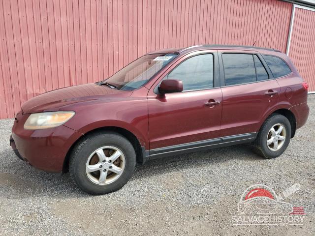 5NMSG13D28H143987 2008 HYUNDAI SANTA FE photo no. 10