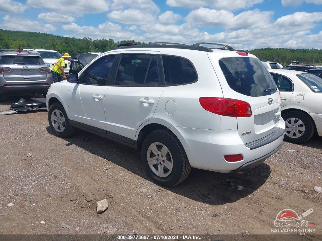 5NMSG13D59H317469 2009 HYUNDAI SANTA FE photo no. 3