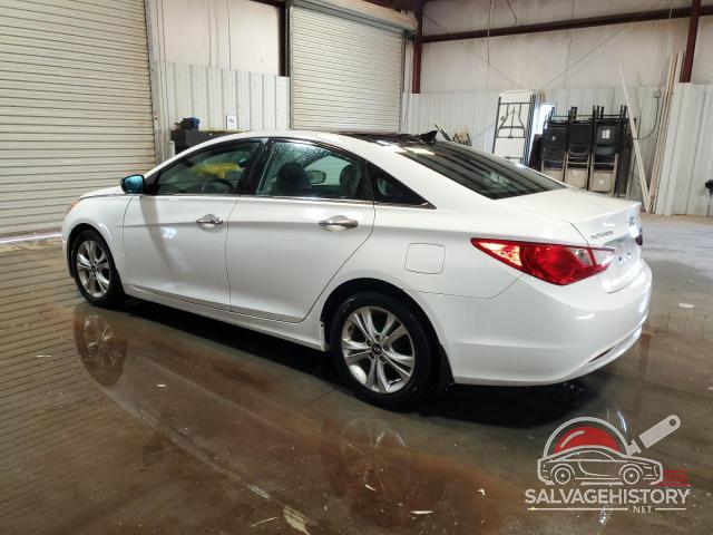 5NPEC4AC0DH781642 2013 HYUNDAI SONATA photo no. 2