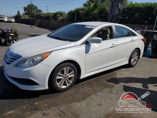 5NPEB4AC6EH894998 2014 HYUNDAI SONATA photo no. 23