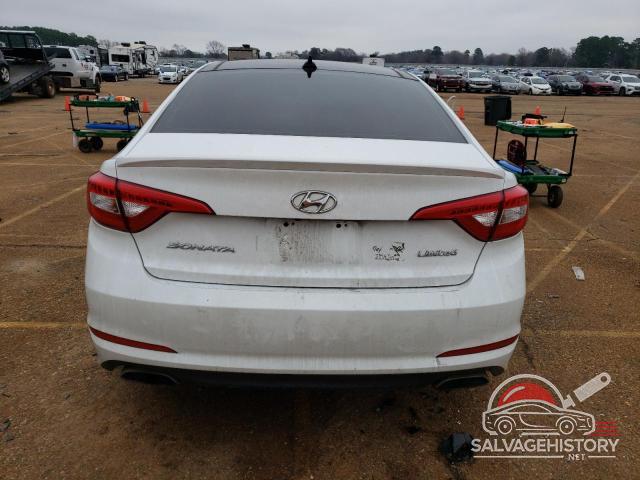 5NPE34AF9FH169369 2015 HYUNDAI SONATA photo no. 6