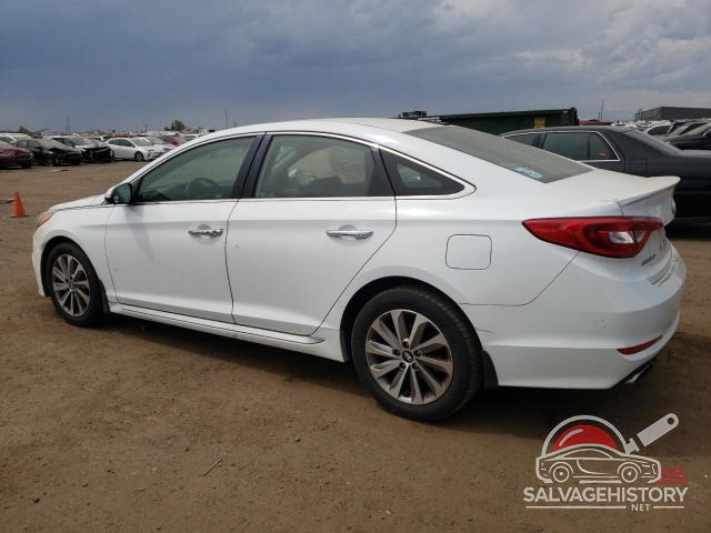5NPE34AF7GH271934 2016 HYUNDAI SONATA photo no. 2