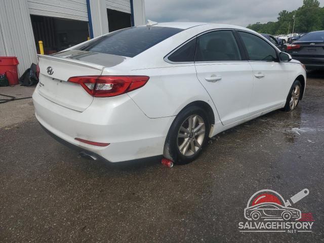 5NPE24AF5HH497121 2017 HYUNDAI SONATA photo no. 3