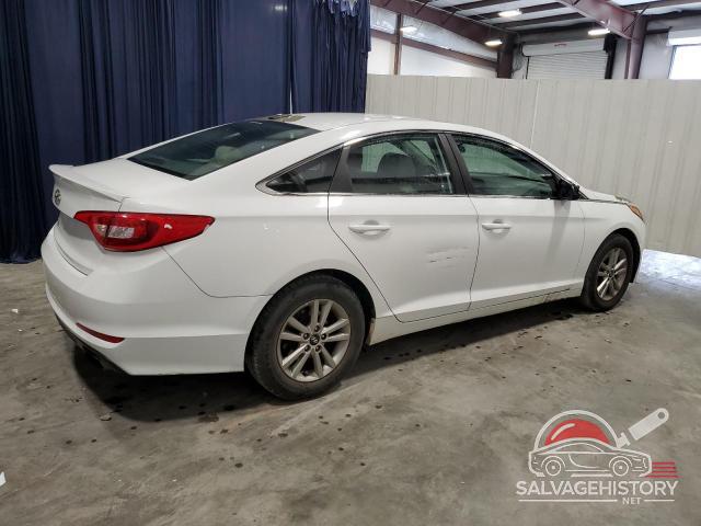 5NPE24AF8HH472598 2017 HYUNDAI SONATA photo no. 3